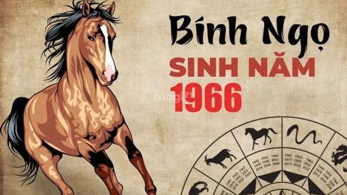 Tổng quan về người tuổi Bính Ngọ 1966