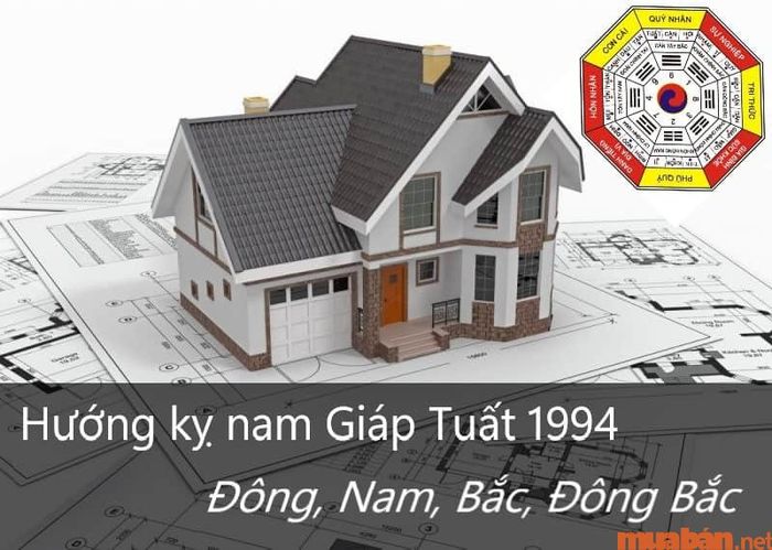 Nam gia chủ tuổi Giáp Tuất nên tránh những hướng nào?