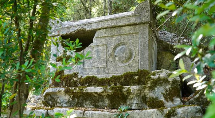 The necropolis street in Termessos is lined with sarcophagi, all of which have been plundered by grave robbers.