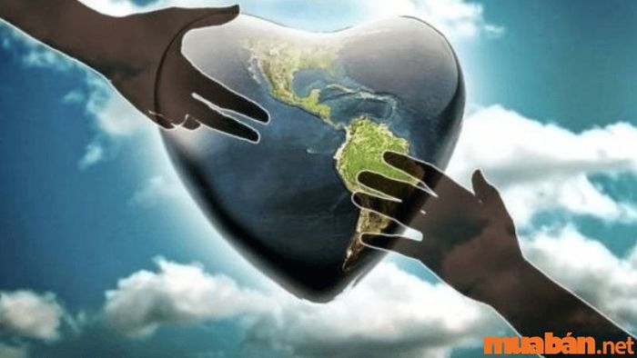 Con số của lòng từ bi