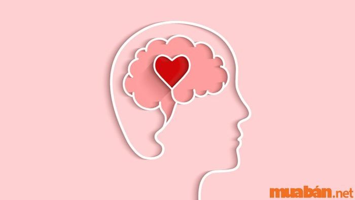 Khả năng thấu cảm tuyệt vời