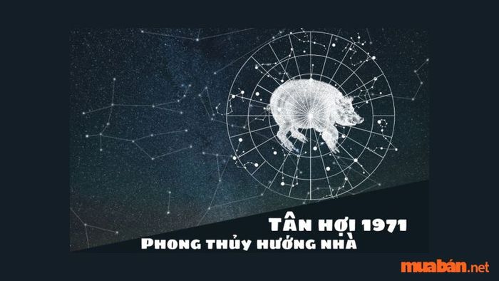 Hướng nhà lý tưởng cho Tân Hợi 1971 là gì? Những chi tiết về các hướng tốt để giúp công việc của bạn luôn thuận lợi.