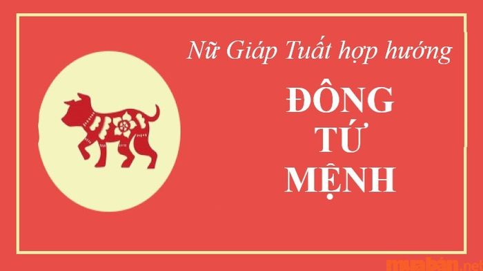Khám phá những hướng hợp với nữ gia chủ tuổi Giáp Tuất 1994 để thu hút may mắn và bình an.