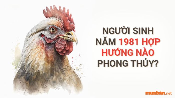 Hướng nhà phù hợp với gia chủ sinh năm 1981 là gì? Hãy tìm hiểu để có lựa chọn tốt nhất cho không gian sống của bạn.