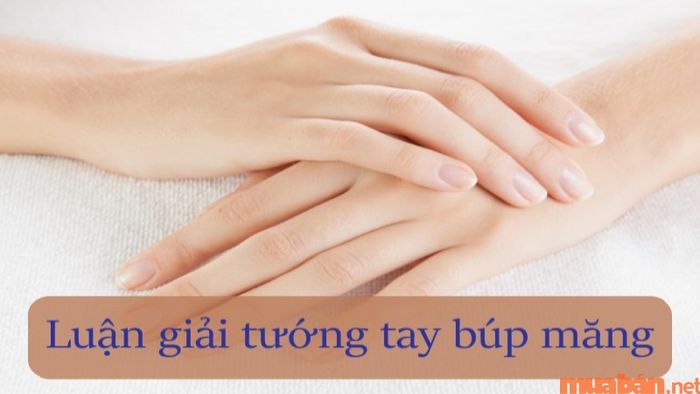 Phân tích tướng số của người sở hữu tay búp măng.