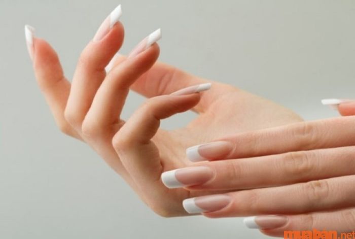 Hình ảnh bàn tay búp măng đẹp - Mẫu 5