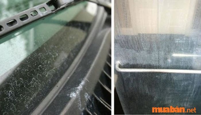 Kính xe ô tô bị ố, mốc