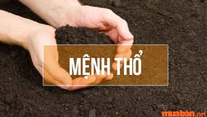 Danh sách các năm sinh thuộc mệnh Thổ