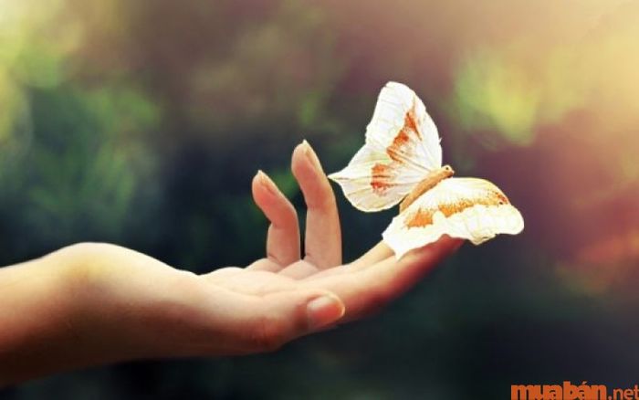 Tính cách của người sở hữu tay búp măng.