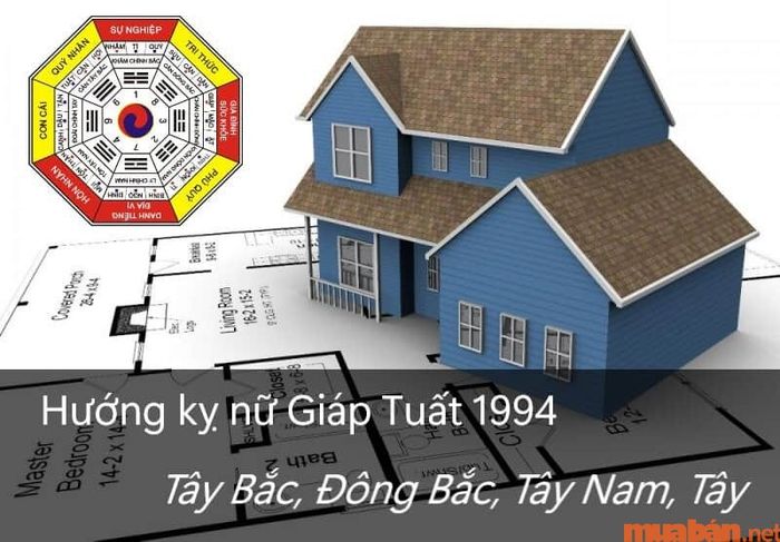 Nữ gia chủ tuổi Giáp Tuất cần tránh những hướng nào?