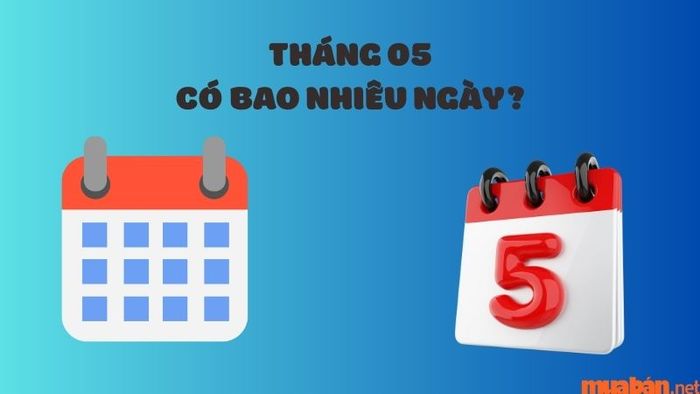 Tháng 5 có bao nhiêu ngày?