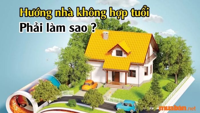 Nếu không thể thay đổi hướng nhà cho hợp với mệnh Mộc, gia chủ có thể áp dụng một số biện pháp phong thủy để giảm thiểu những rủi ro không mong muốn.