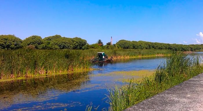 A lush 360-hectare green oasis nestled in Buenos Aires' priciest neighborhood.