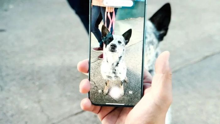 Tính năng Visual Intelligence có những khả năng gì?