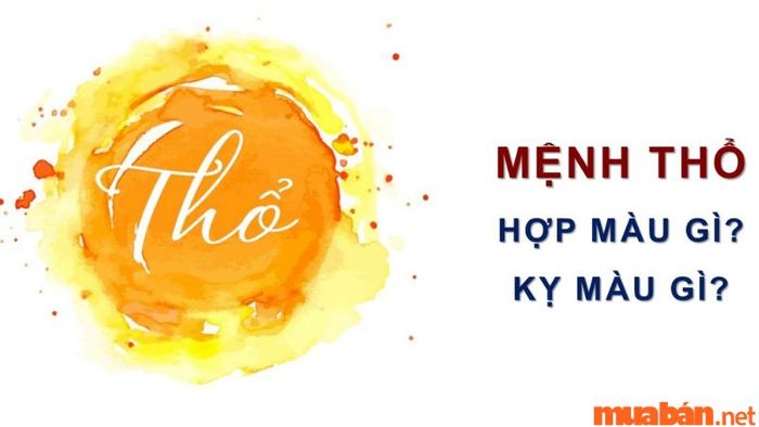 Mệnh Thổ không hợp với các màu thuộc hành Mộc