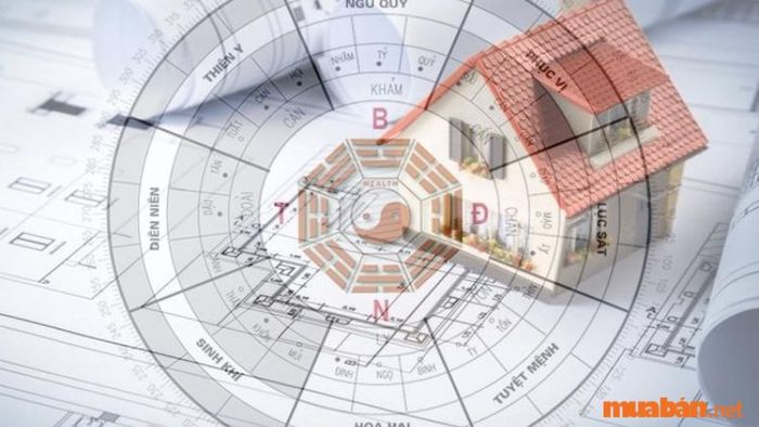 Phong thủy tốt cho người mệnh Mộc có nhiều yếu tố, nhưng một trong những yếu tố quan trọng nhất chính là