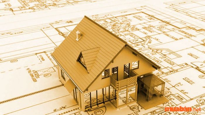 Tân Hợi 1971 nên xây nhà vào năm nào?