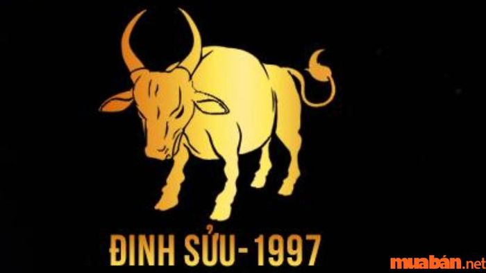 Hướng nhà phù hợp với nam và nữ sinh năm 1997 là gì?