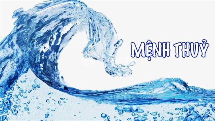 Những đặc điểm tính cách nổi bật của người mệnh Thủy