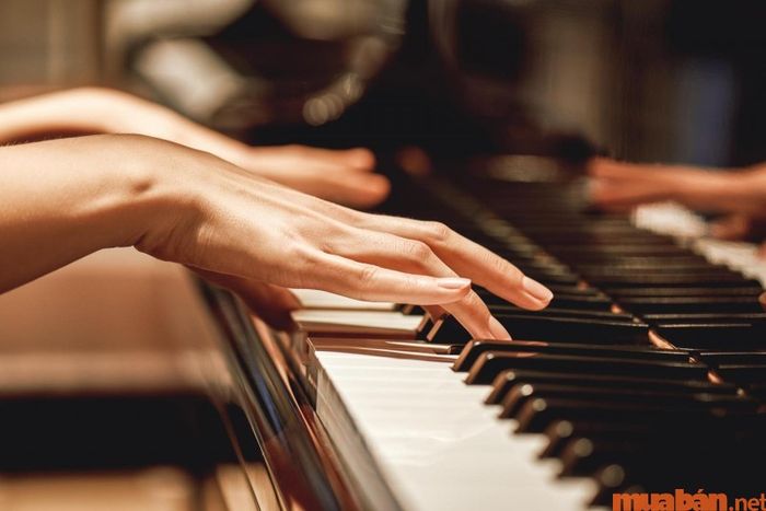 Người có tay búp măng sẽ phát triển sự nghiệp nghệ thuật như thế nào?