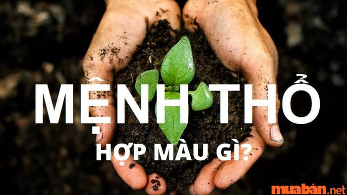 Màu sắc nào phù hợp nhất với người mệnh Thổ?