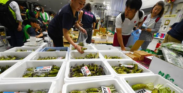 A wasabi vendor at the newly opened Toyosu market.