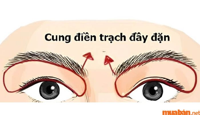 Những điều cần lưu ý khi phân tích cung Điền Trạch