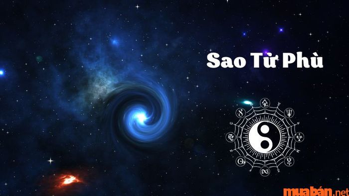 Khám phá tổng quan về sao Tử Phù