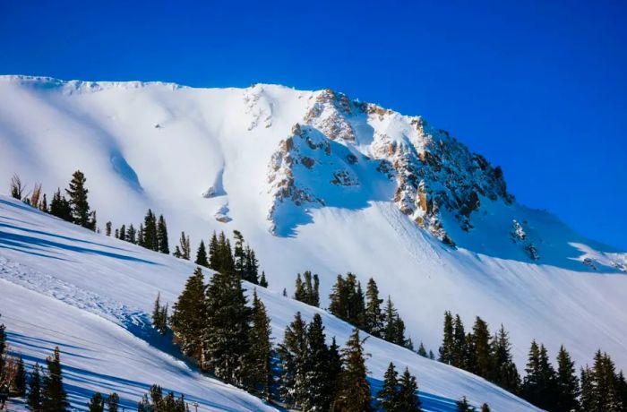 Mammoth Mountain is covered in snow.