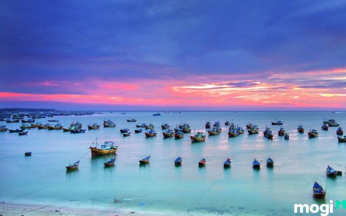 Khám Phá Biển Hòn Rơm Mũi Né