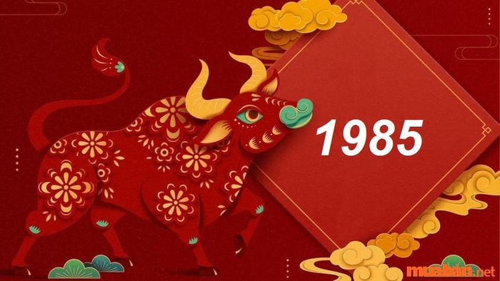 Tuổi hợp với người sinh năm 1985