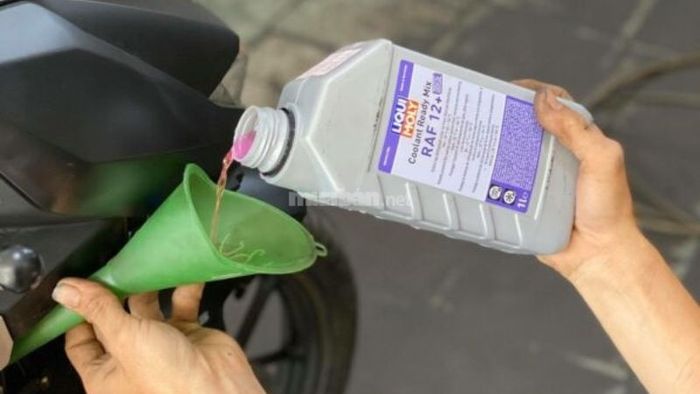 Nước mát Liqui Moly đỏ cao cấp