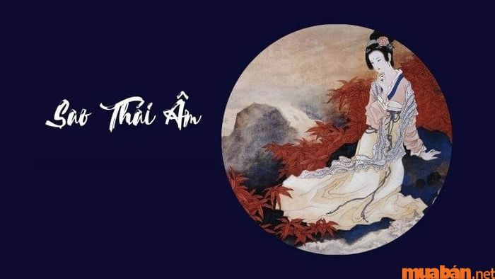 Sao Thái Âm trong cung Điền Trạch
