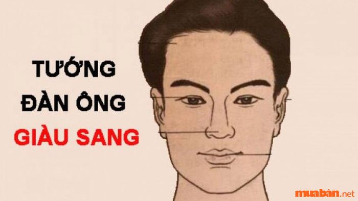 Khi sao Tam Thai – Bát Tọa xuất hiện ở cung Tài Bạch, người sở hữu sẽ có vận mệnh phú quý, giàu sang từ khi còn trẻ.