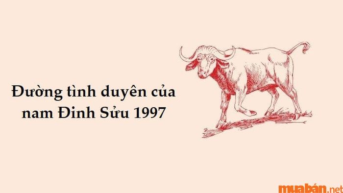 Nam Đinh Sửu 1997 lấy vợ tuổi nào thì hợp?