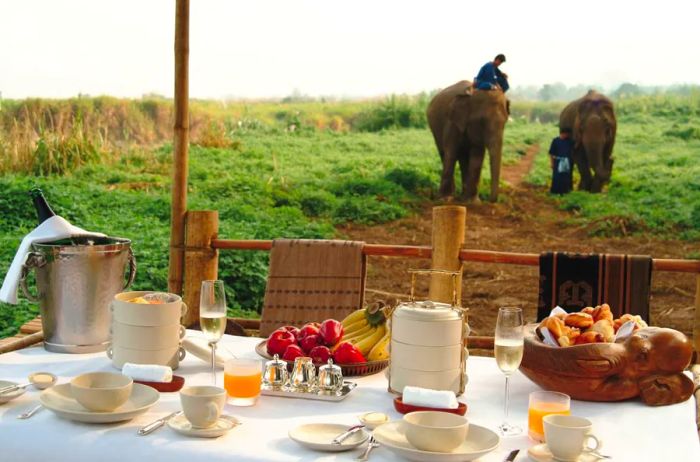 At Four Seasons Golden Triangle, guests can enjoy a range of unique dining options, from meals at the elephant camp to private dinners under the stars, offering an unforgettable taste of northern Thailand.