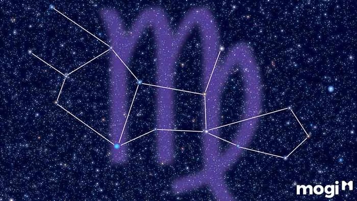Xử Nữ hợp với cung nào?