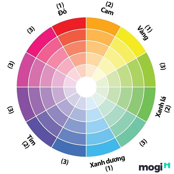 Bánh xe màu sắc là công cụ phối màu được xây dựng theo hình dạng của cầu vồng, giúp bạn tạo ra sự kết hợp màu sắc hài hòa cho không gian sống.