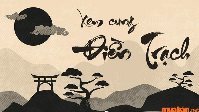 Cung điền trạch trong tử vi