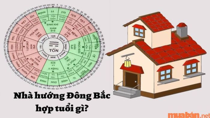Khám phá nhà hướng Đông Bắc có hợp với tuổi gì?