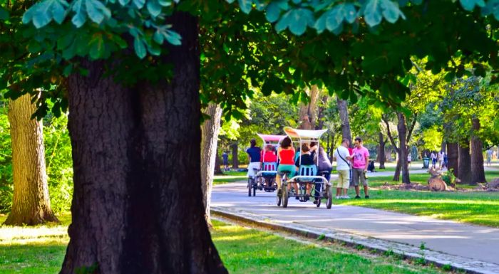 Rent a bike, bringo cart, or golf buggy to explore Margaret Island at your own pace.