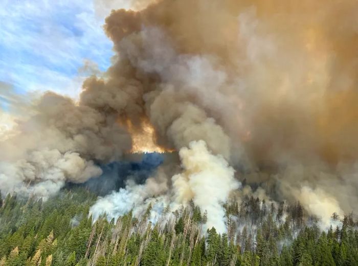 The Washburn Fire continues to rage within Yosemite National Park, as seen on Saturday.