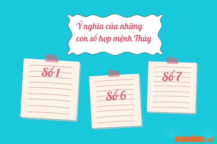 Mệnh Thủy hợp với những con số nào để thuận lợi trong công việc và đạt được thành công?