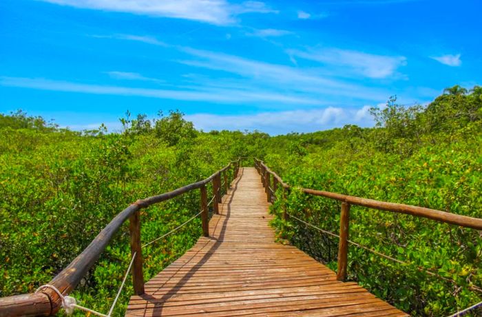 Ilha do Cardoso in Brazil offers a charmingly peaceful atmosphere, free from the usual crowds.