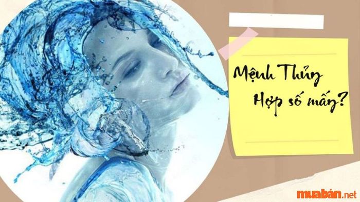 Mệnh Thủy hợp với con số nào? Tìm hiểu ý nghĩa của từng con số bạn chưa biết