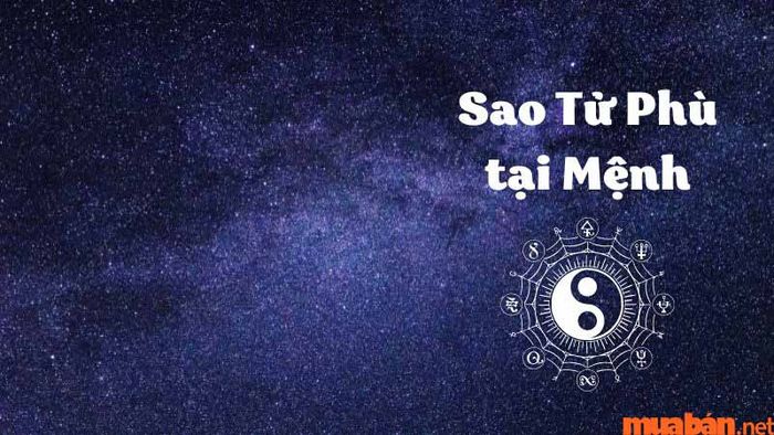 Sự nghiệp và gia đình của người mang sao Tử Phù thường có sự bất ổn và thử thách, dù họ có tài năng và nghị lực. Những khó khăn trong mối quan hệ gia đình cũng dễ xảy ra.