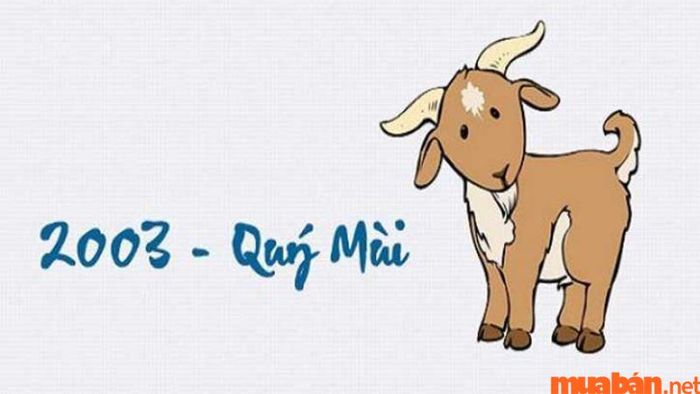 Thông tin cơ bản về nam Quý Mùi 2003