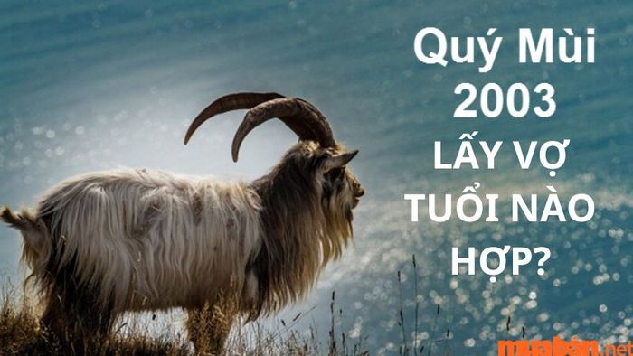 Nam 2003 nên kết hôn với tuổi nào hợp nhất?