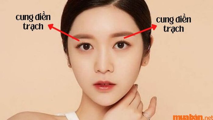 Cung Điền Trạch trong tử vi là gì