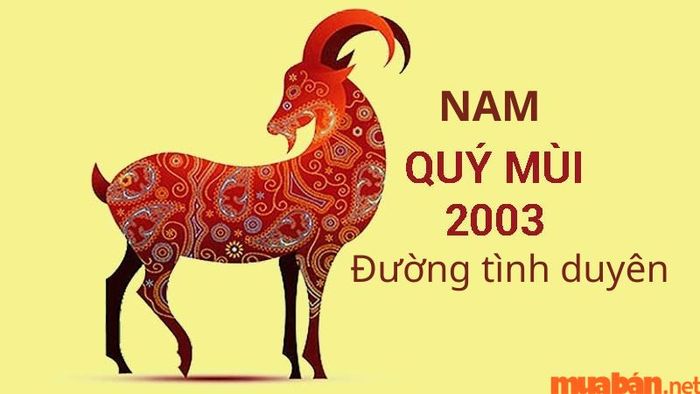 Đường tình duyên của nam 2003 và sự tương hợp với các tuổi vợ sẽ mang lại may mắn cho họ.